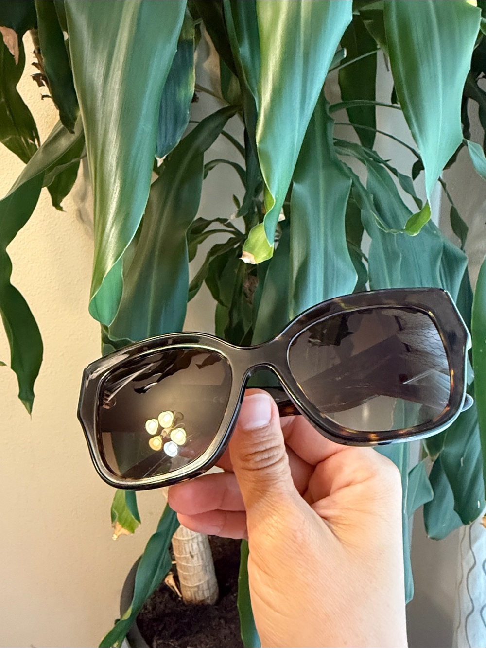 Tory Burch Black Oversized Women's Sunglasses